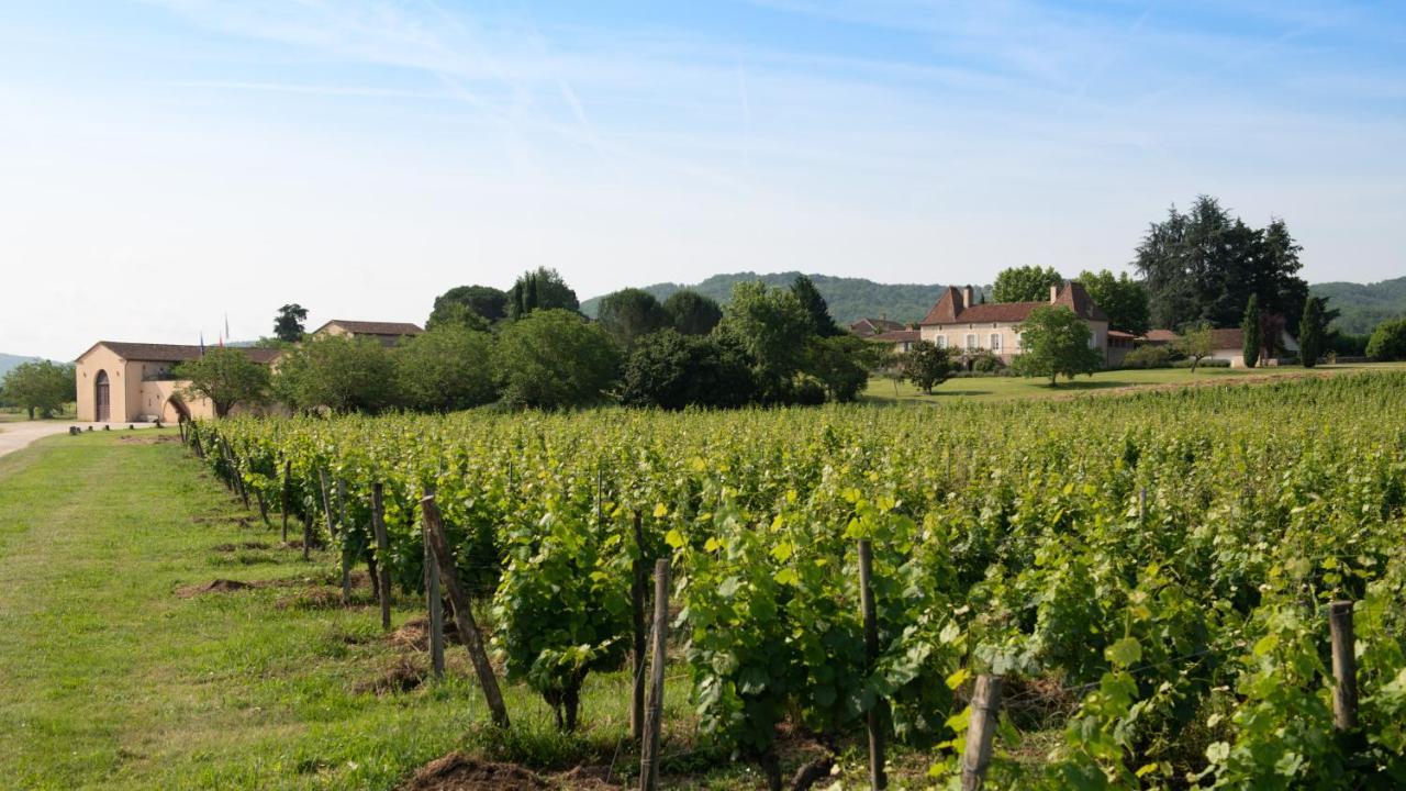 Chateau Gautoul Puy-l'Eveque Экстерьер фото